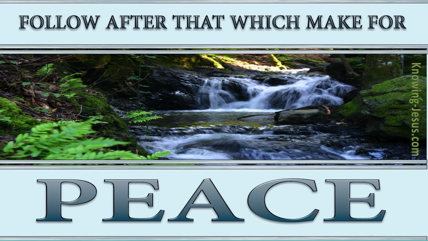 Romans 14:19 Follow After That Which Makes For Peace (gray)